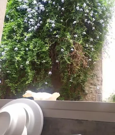 Σπίτι διακοπών Maison Avec Jardin Centre Historique *