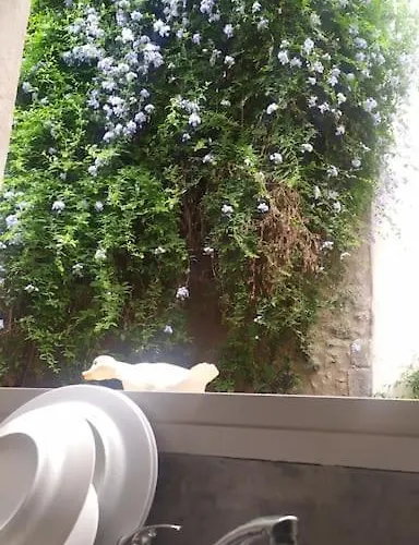 Σπίτι διακοπών Maison Avec Jardin Centre Historique *